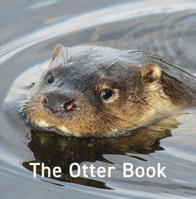 The Otter Book : 12-9781802580822