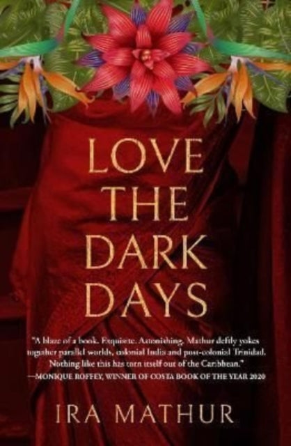 Love the Dark Days-9781845235352