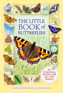 The Little Book of Butterflies-9781908489654
