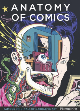 Anatomy of Comics : Famous Originals of Narrative Art-9782080281876